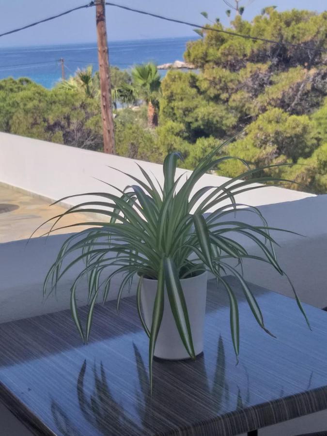 Apartament Meltemi Posidhonía Zewnętrze zdjęcie